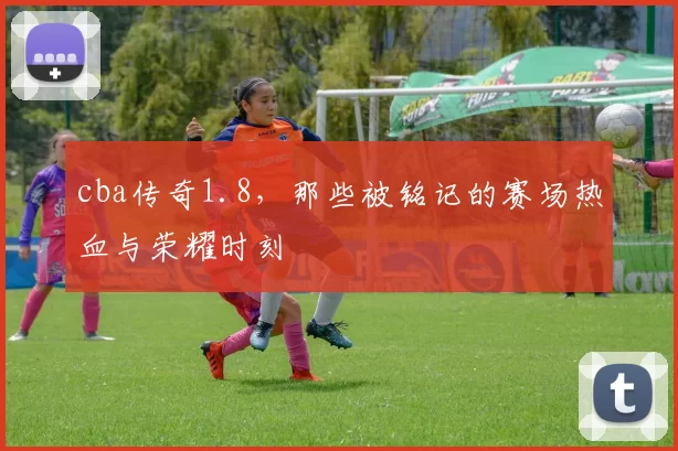 cba传奇1.8，那些被铭记的赛场热血与荣耀时刻