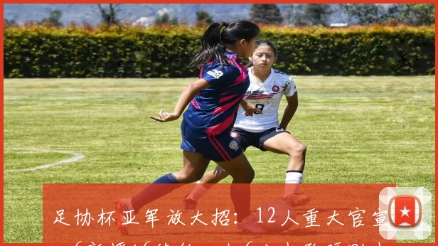 足协杯亚军放大招:12人重大官宣,6新援+6续约,扣6分也敢硬刚中超_河南_赛季_实力