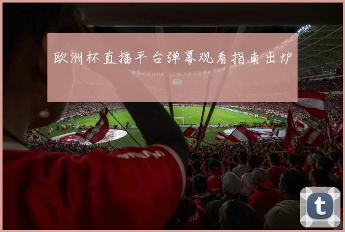 欧洲杯直播平台弹幕观看指南出炉