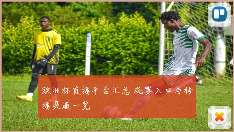 欧洲杯直播平台汇总 观赛入口与转播渠道一览