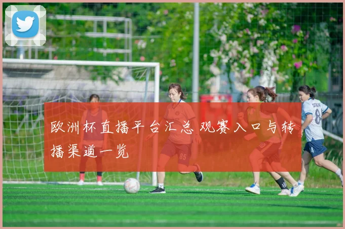 欧洲杯直播平台汇总 观赛入口与转播渠道一览