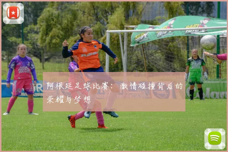 阿根廷足球比赛：激情碰撞背后的荣耀与梦想