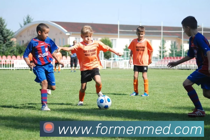 开云 - KAIYUNAPP下载平台生态图